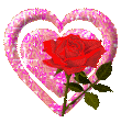 rose.gif